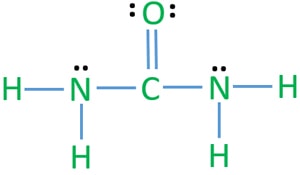 urea lewis structure